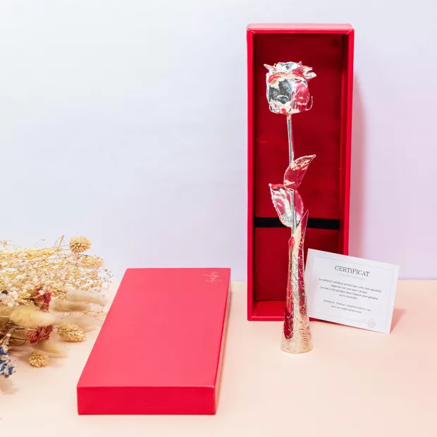 Rose Éternelle Argentée Prénom à Personnaliser