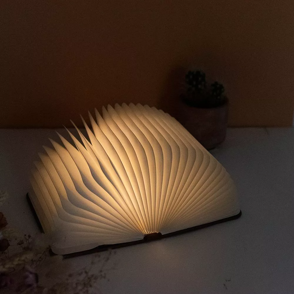 Lampe Livre LED Couple à Personnaliser