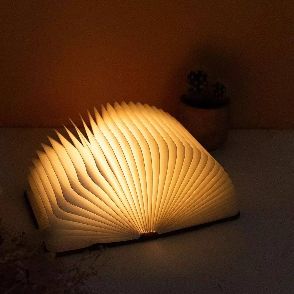 Lampe Livre LED Couple à Personnaliser