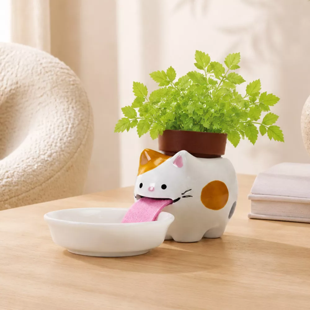 Peropon Chat Fraise des Bois Peropon Chat Fraise des Bois