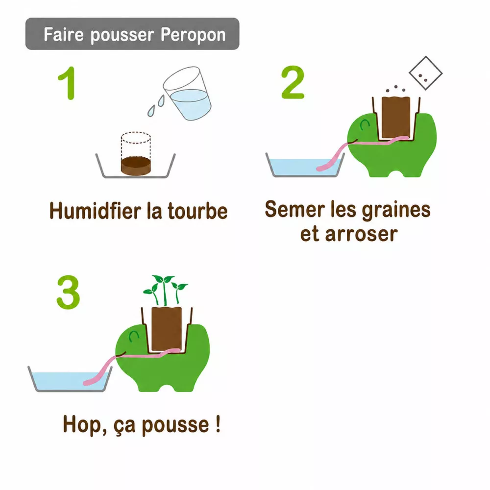 Peropon Chat Fraise des Bois