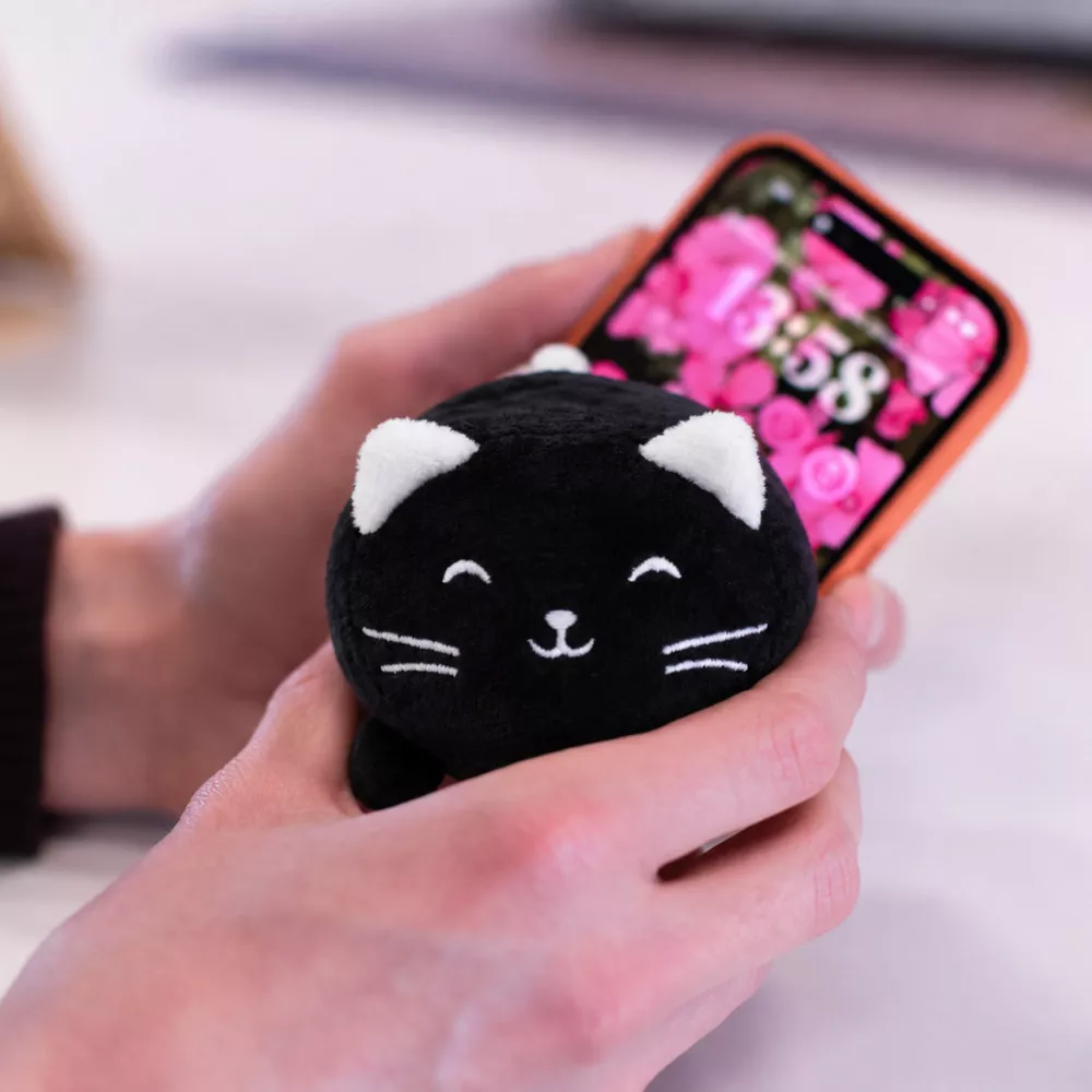 Nettoyeur Écran Chat Luna Nettoyeur Écran Chat Luna