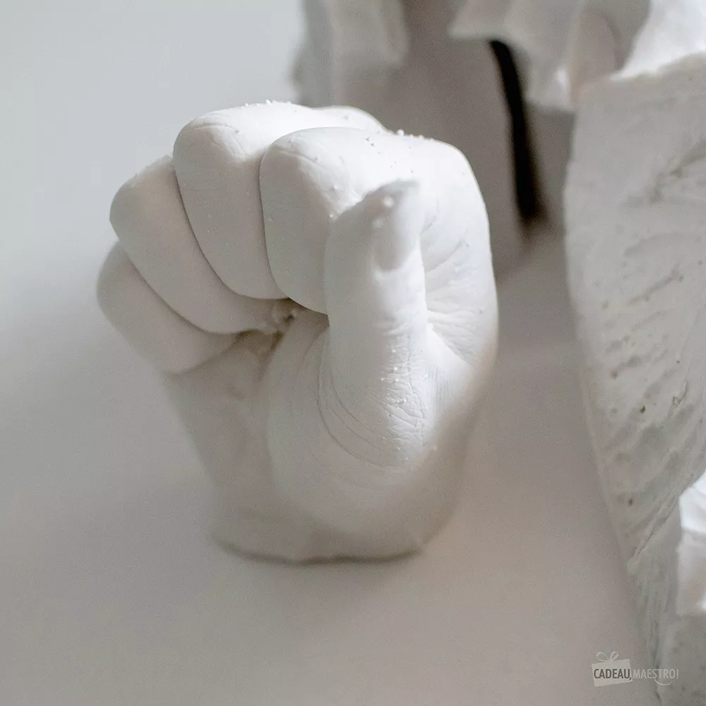 Kit de Moulage 3D de Deux Mains en Plâtre