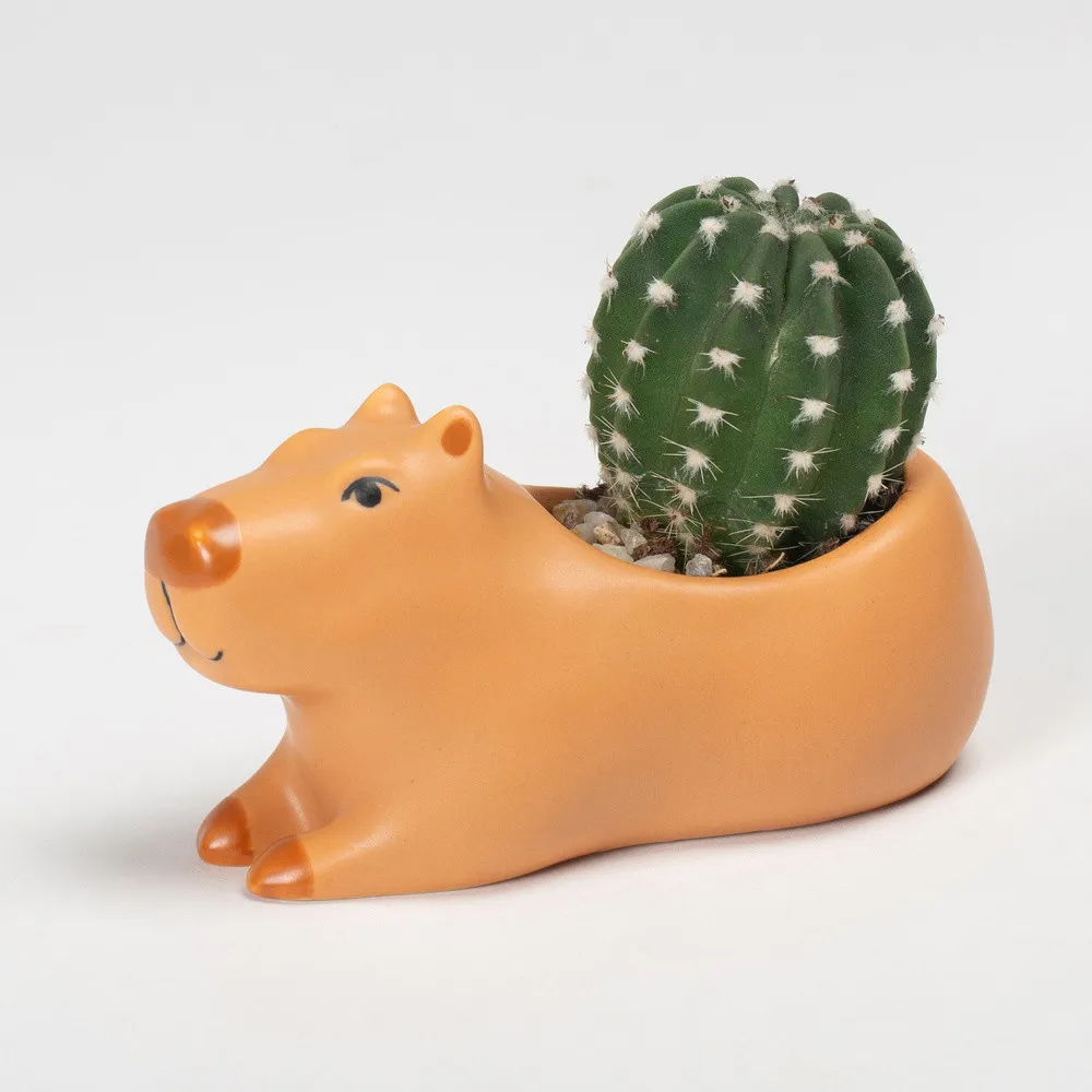 Cache-Pot Capybara en Céramique