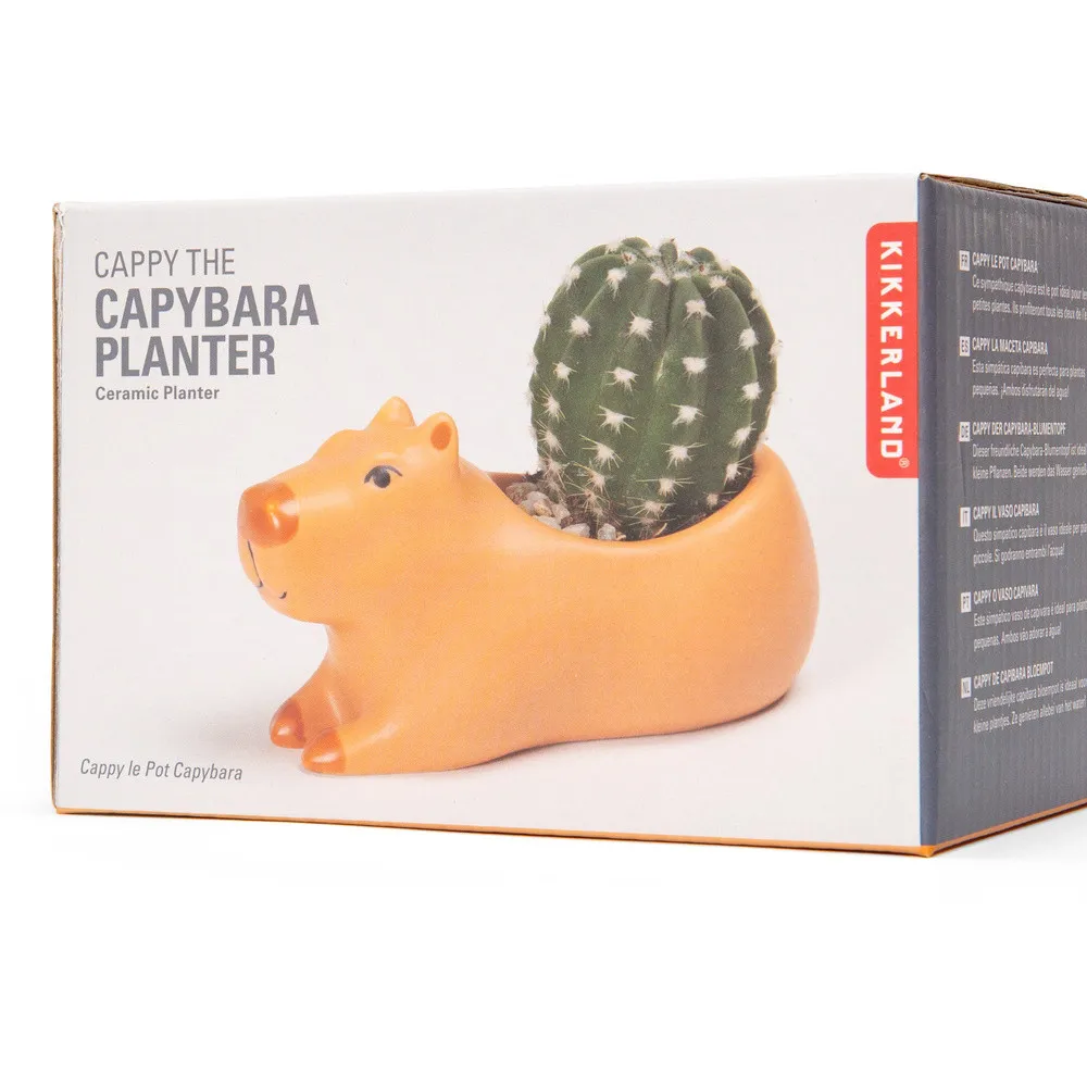 Cache-Pot Capybara en Céramique