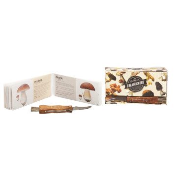 Coffret Cueillette de Champignons avec Couteau et Guide