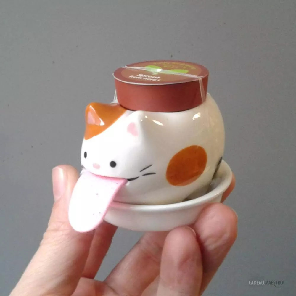 Peropon Chat Fraise des Bois Miaou !