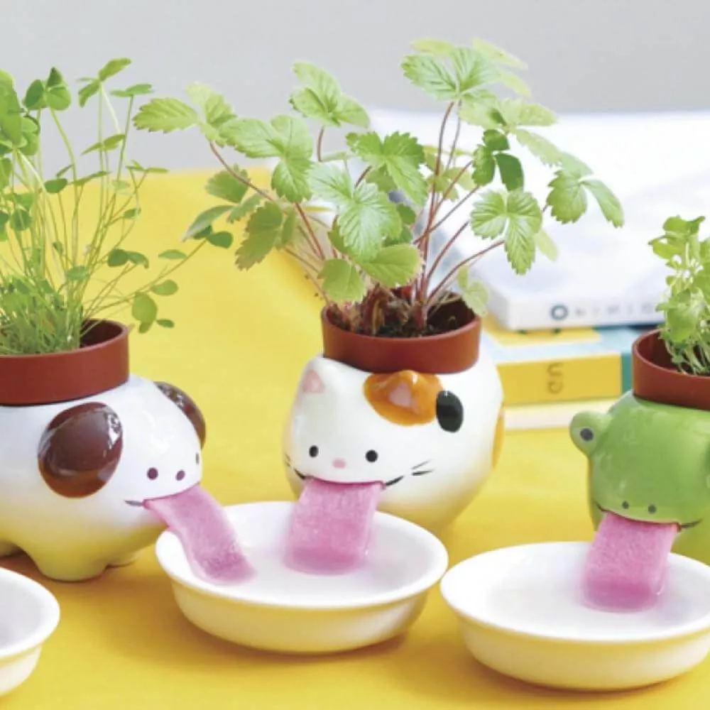 Peropon Chat Fraise des Bois Capillarité