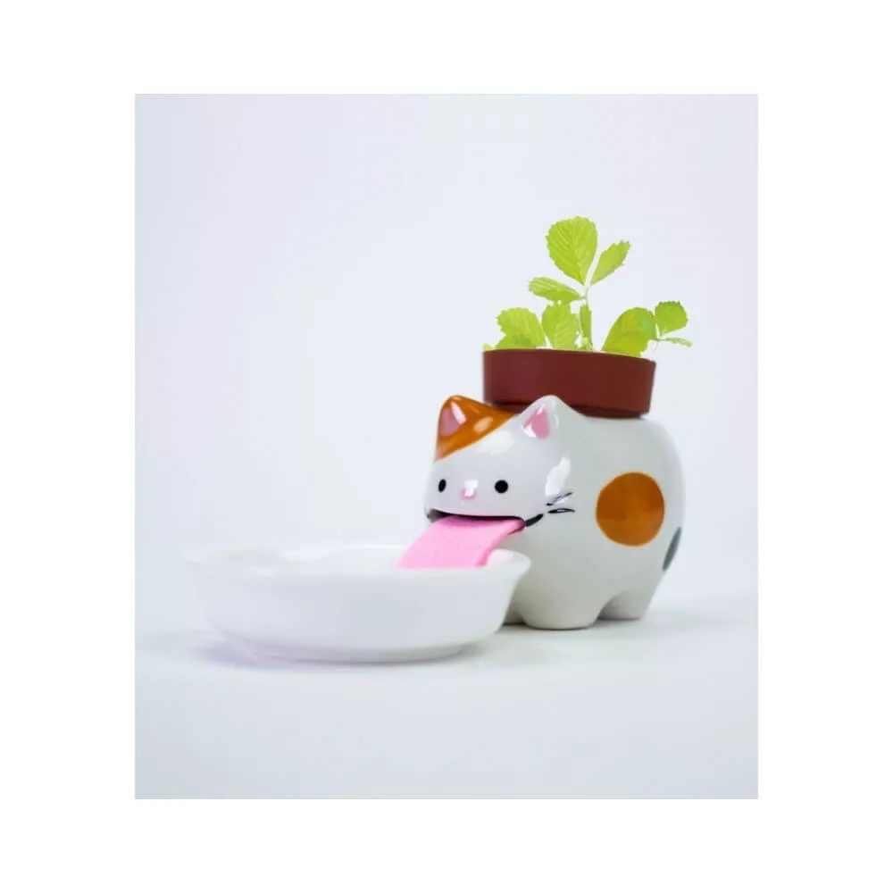 Peropon Chat Fraise des Bois