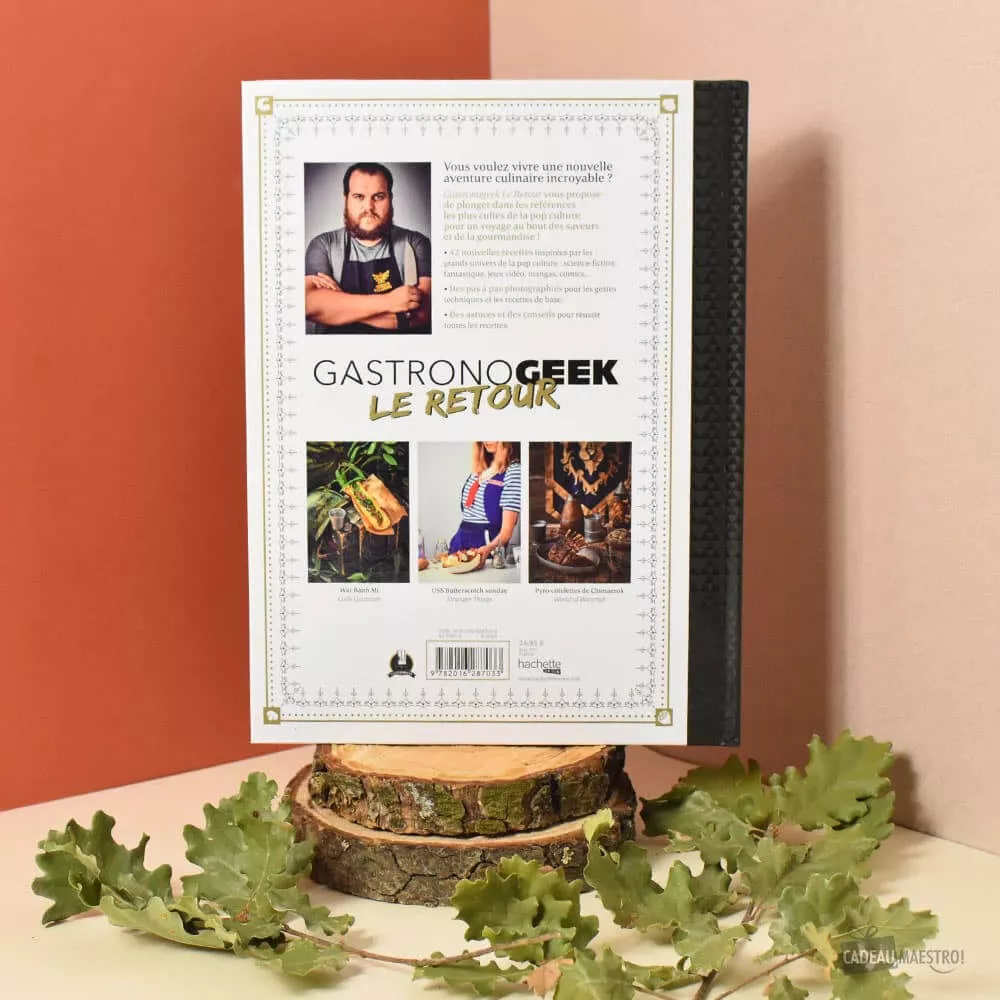Livre de Recettes Gastronogeek 2 Le Retour Régalez-vous grâce au chef Thibaud Villanova