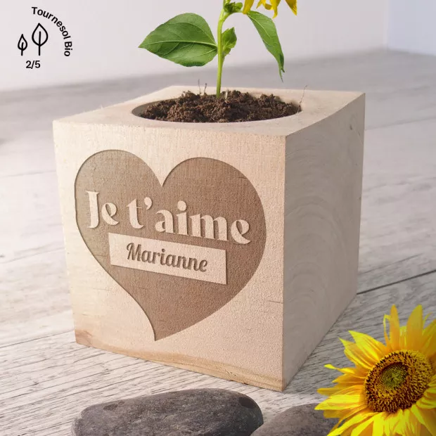 EcoCube Je t'Aime à Personnaliser Tournesol