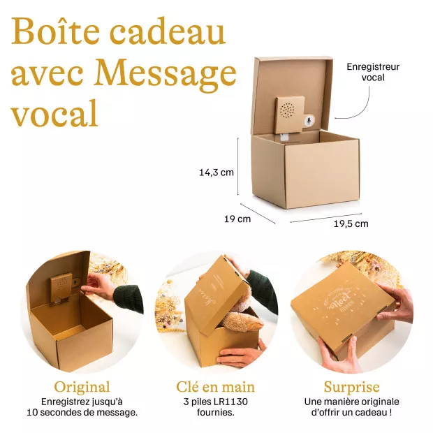 Boîte Cadeau avec Message Vocal Joyeux Noël à Personnaliser Pourquoi commander une boîte cadeau avec message vocal ?